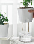 Self-Watering Lazy Plastic Planter