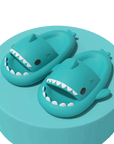 Shark Slides