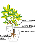 Plant Fertility Smart Sensor